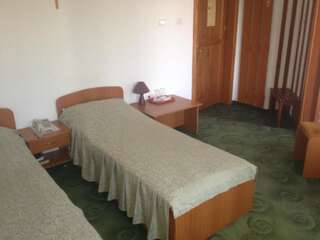 Отель Hotel Lotus Арад Двухместный номер с 1 кроватью или 2 отдельными кроватями-16