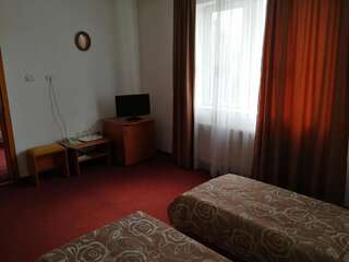 Отель Hotel Lotus Арад Двухместный номер с 1 кроватью или 2 отдельными кроватями-19